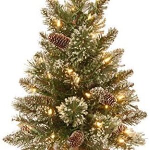 National Tree Company Pre-lit Artificial Mini Christmas Tree | Includes Small LED Lights, White Tipped, Glitter Branches Cones and Cloth Bag Base | Glittery Bristle Pine-2, 2 Foot, Green