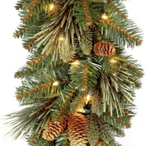 National Tree Company Pre-Lit Artificial Christmas Garland, Green, Carolina Pine, White Lights, Decorated with Pine Cones, Battery Operated, Christmas Collection, 9 Feet